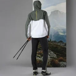 Bern Trekking Stöcke