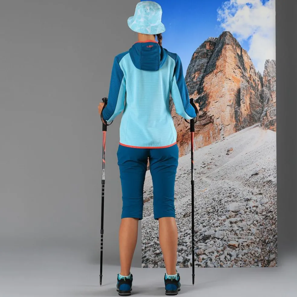 Bern Trekking Stöcke