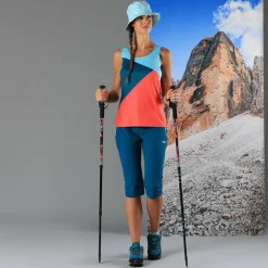 Bern Trekking Stöcke