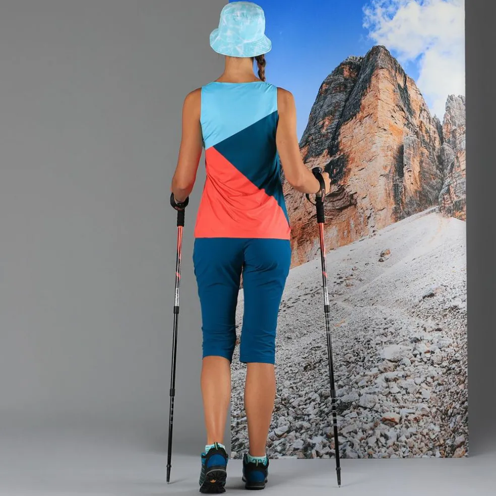 Bern Trekking Stöcke