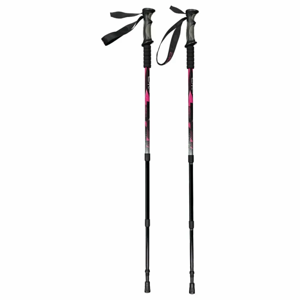 Bern Trekking Stöcke