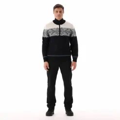 Herren-Sweatshirt mit halbem Reißverschluss in Wooltech